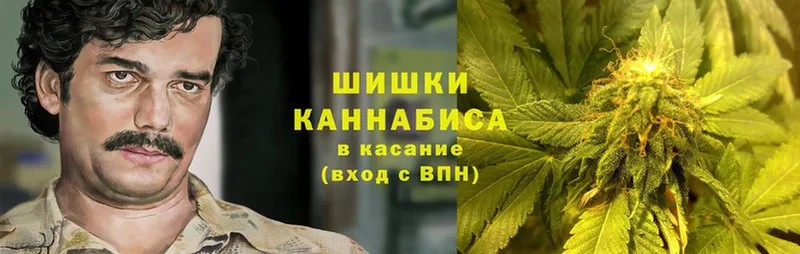 закладка  Ветлуга  hydra ТОР  Канабис Bruce Banner 